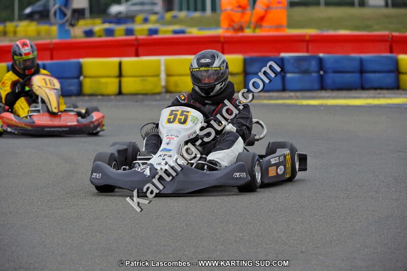 DSC_ (1739).jpg